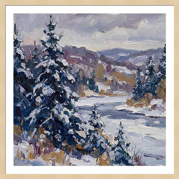 Winter Serenity In Snow