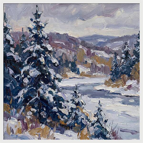 Winter Serenity In Snow