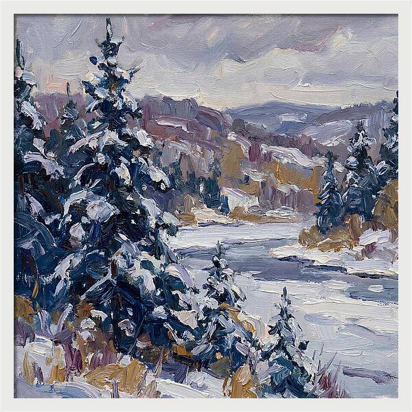 Winter Serenity In Snow