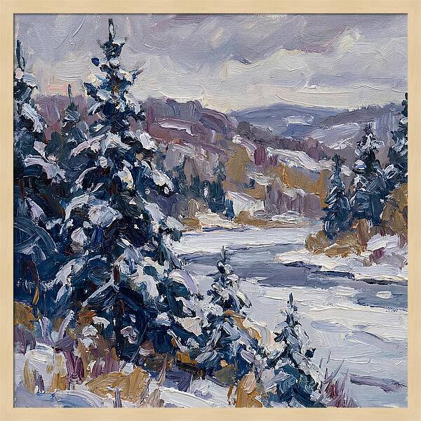 Winter Serenity In Snow