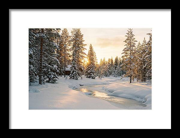 Winter Serenity In The Black Forest