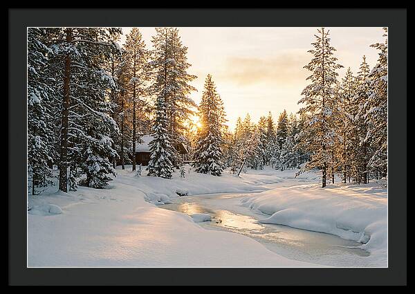 Winter Serenity In The Black Forest