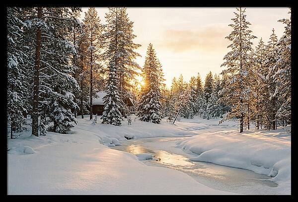 Winter Serenity In The Black Forest
