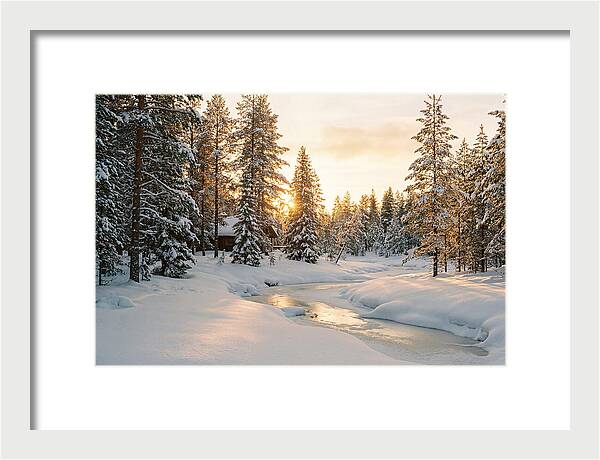 Winter Serenity In The Black Forest