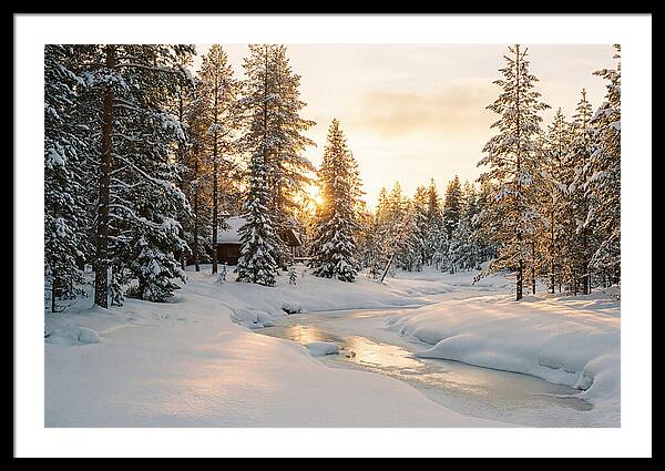 Winter Serenity In The Black Forest