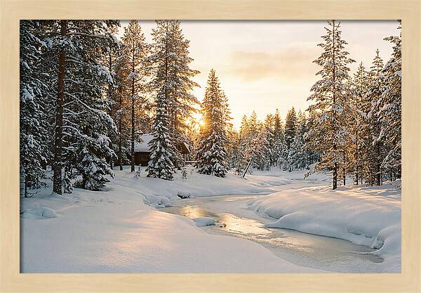 Winter Serenity In The Black Forest