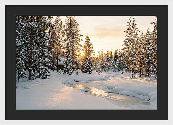 Winter Serenity In The Black Forest