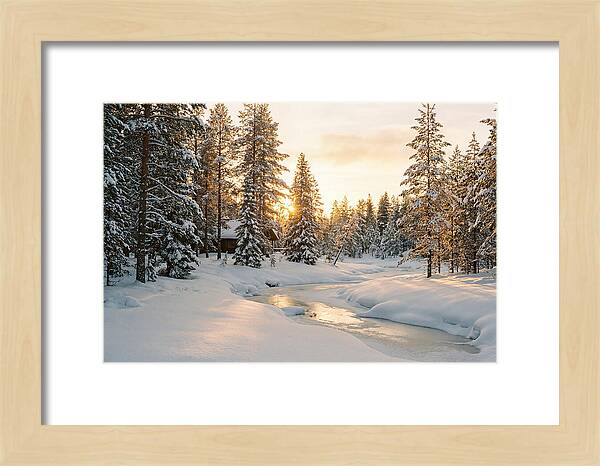 Winter Serenity In The Black Forest