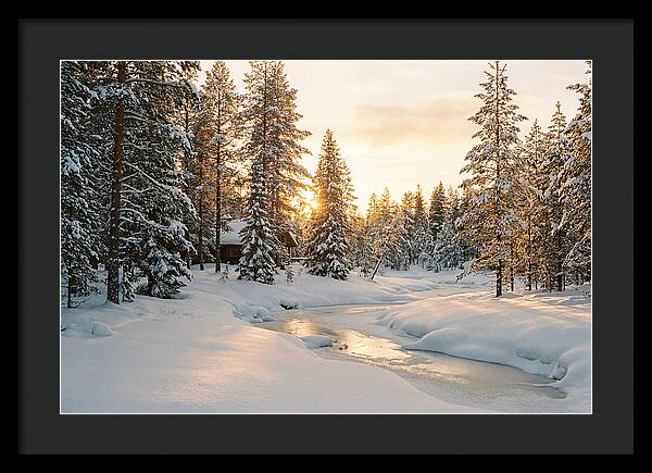 Winter Serenity In The Black Forest