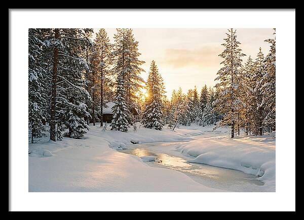 Winter Serenity In The Black Forest