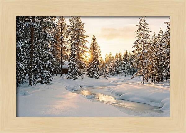 Winter Serenity In The Black Forest