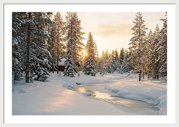 Winter Serenity In The Black Forest