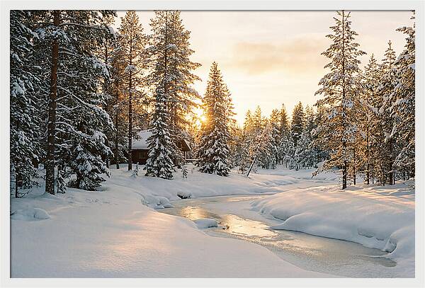 Winter Serenity In The Black Forest