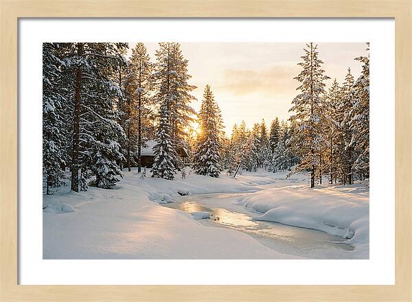 Winter Serenity In The Black Forest