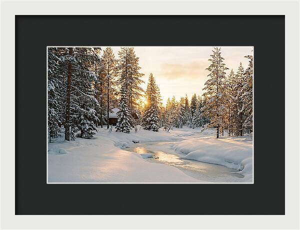 Winter Serenity In The Black Forest