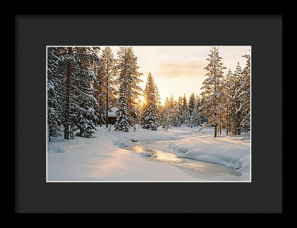 Winter Serenity In The Black Forest