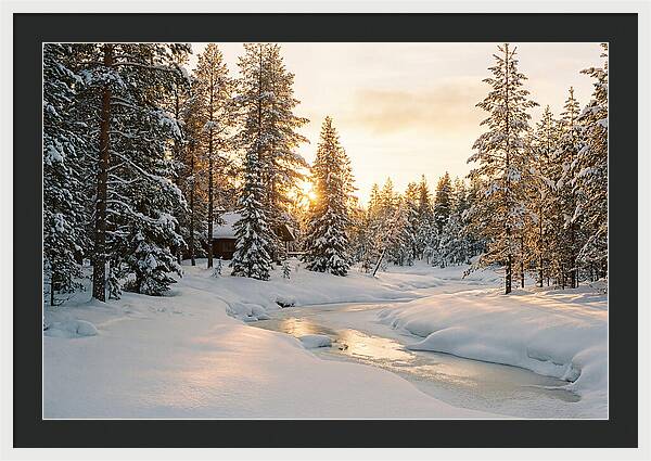 Winter Serenity In The Black Forest