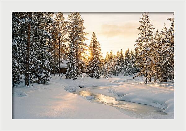 Winter Serenity In The Black Forest