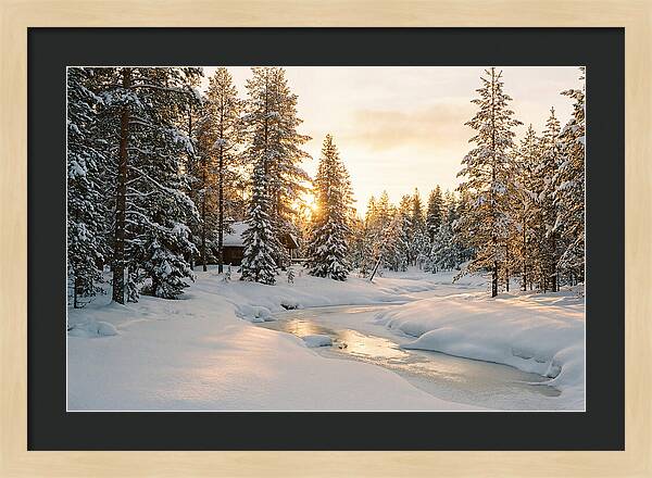 Winter Serenity In The Black Forest