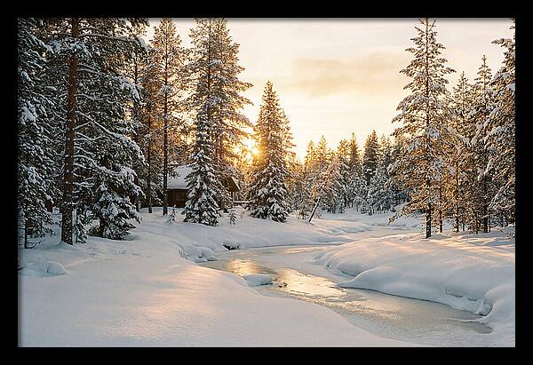 Winter Serenity In The Black Forest