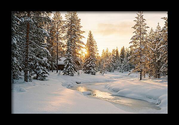 Winter Serenity In The Black Forest