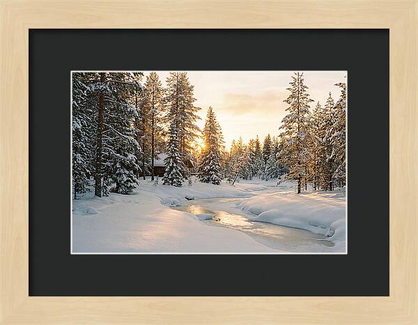 Winter Serenity In The Black Forest
