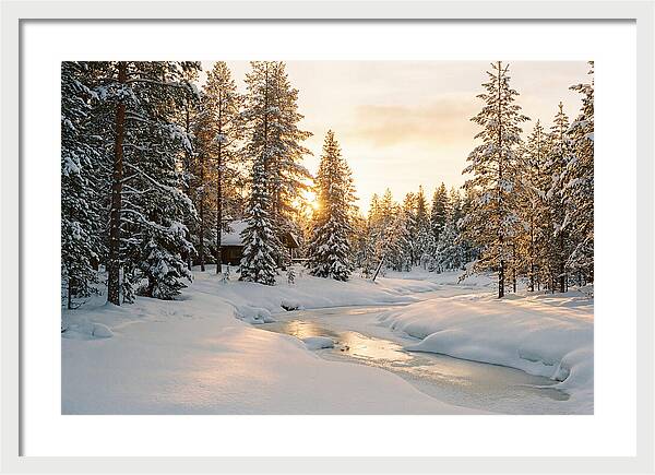 Winter Serenity In The Black Forest