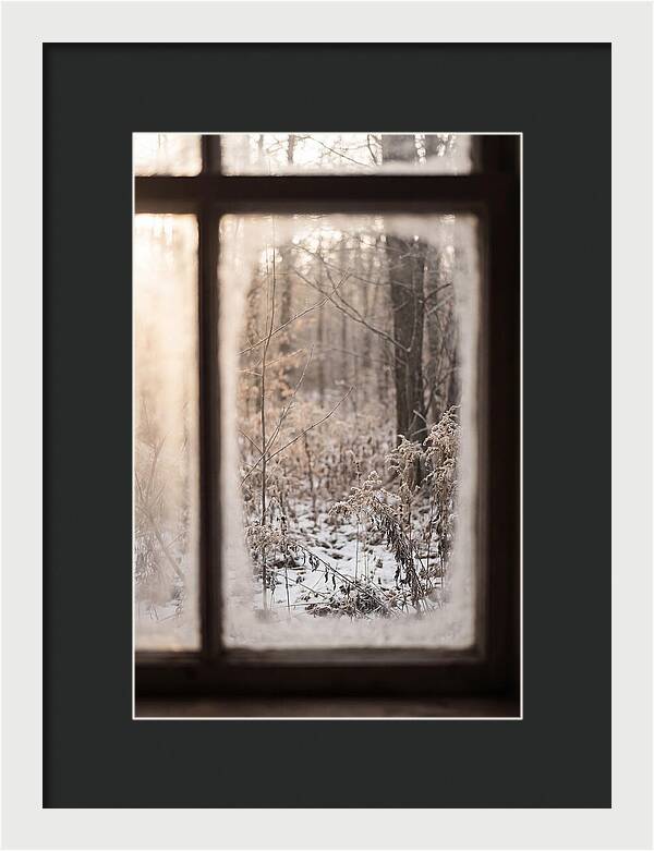 Winter Solstice Serenity