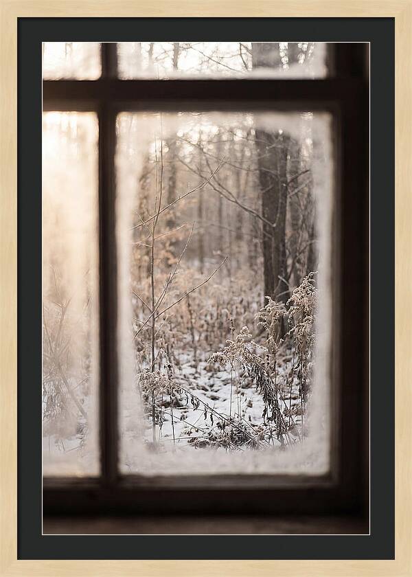 Winter Solstice Serenity