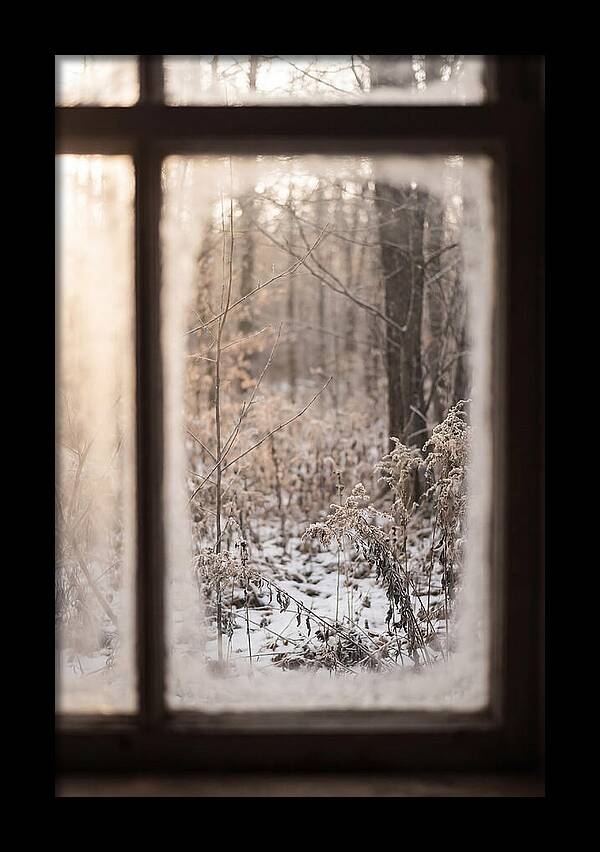 Winter Solstice Serenity