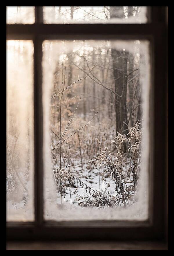 Winter Solstice Serenity