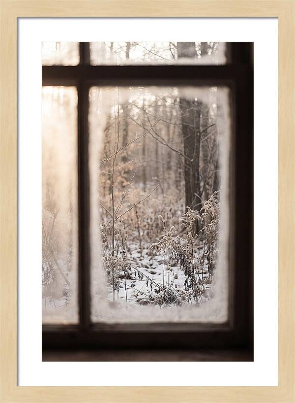 Winter Solstice Serenity
