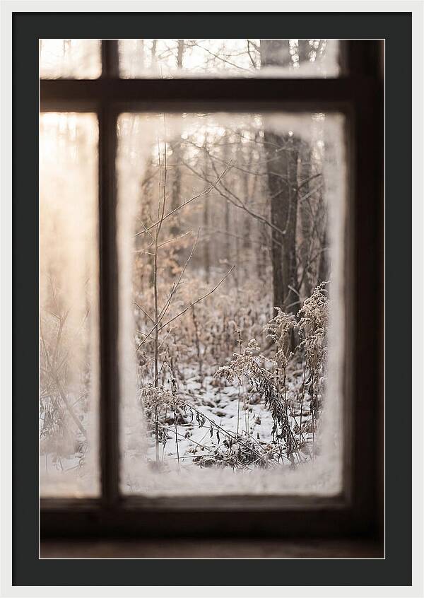Winter Solstice Serenity