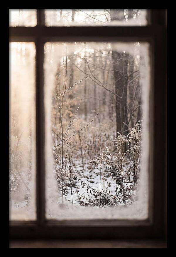 Winter Solstice Serenity