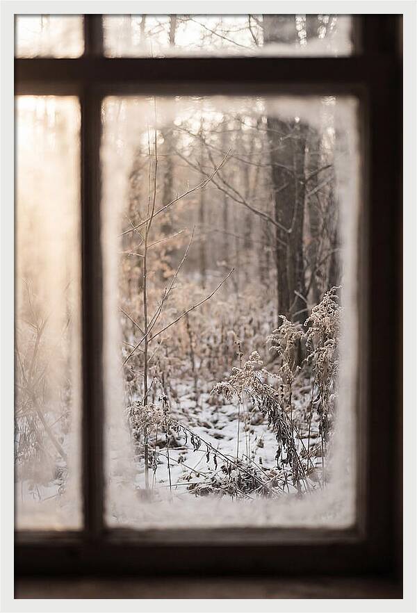 Winter Solstice Serenity