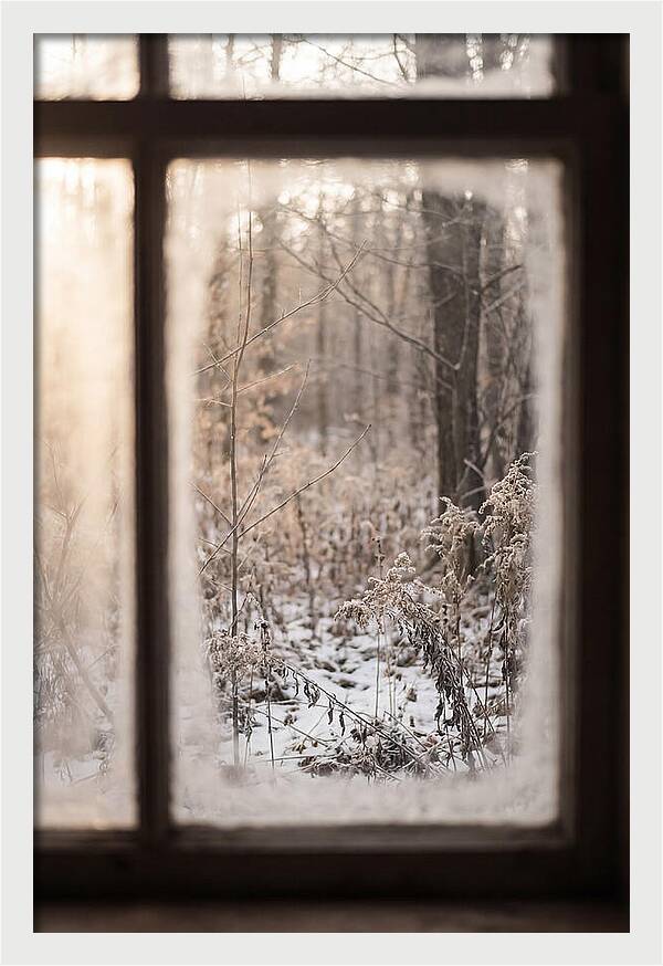 Winter Solstice Serenity