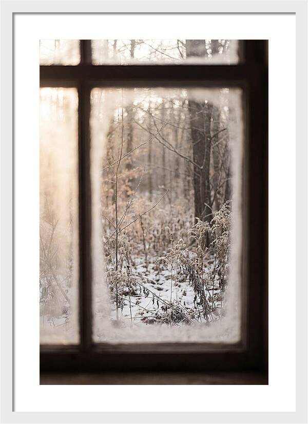 Winter Solstice Serenity