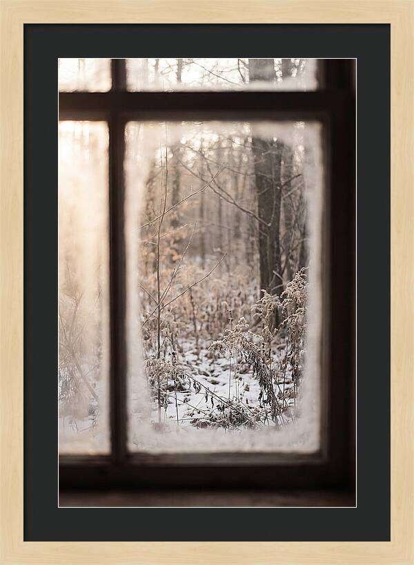 Winter Solstice Serenity