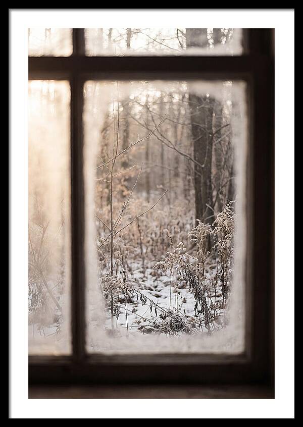 Winter Solstice Serenity