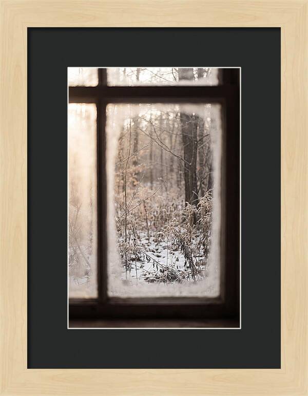 Winter Solstice Serenity