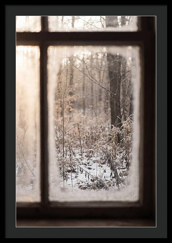 Winter Solstice Serenity