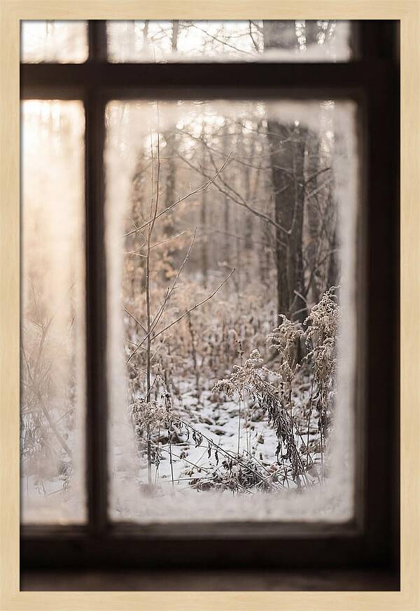 Winter Solstice Serenity