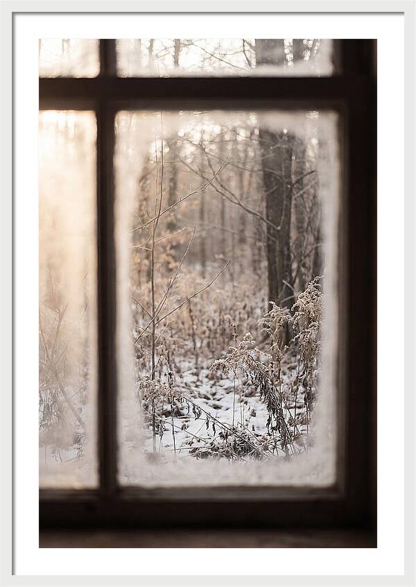 Winter Solstice Serenity