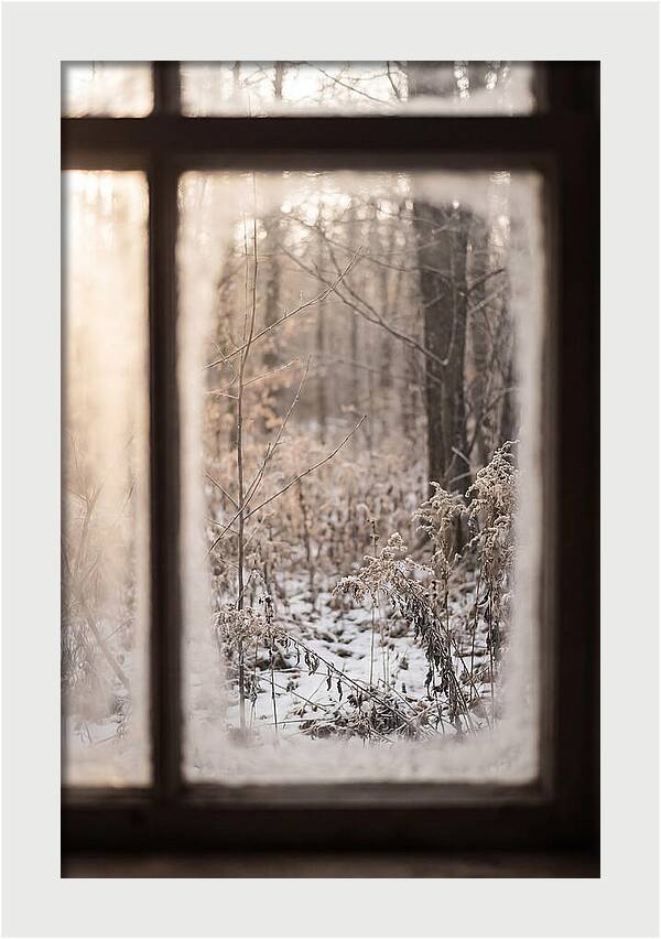 Winter Solstice Serenity