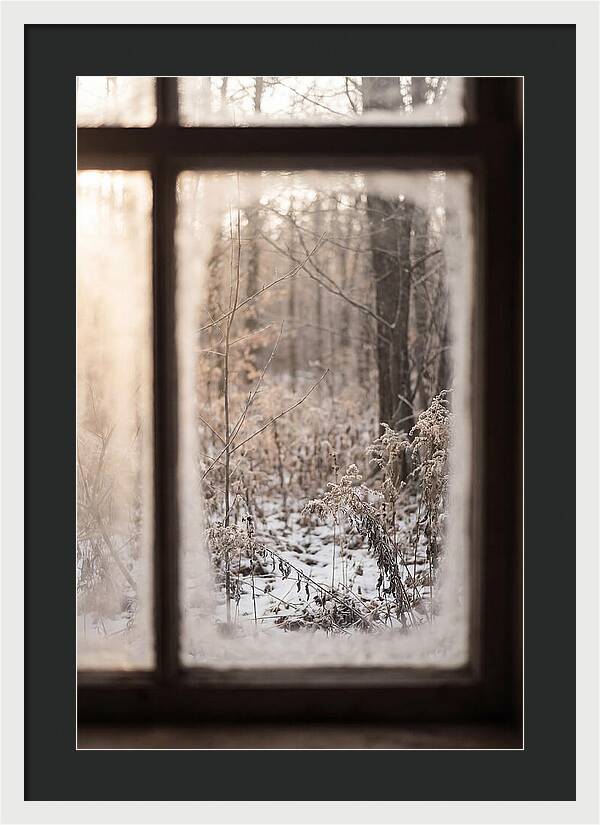 Winter Solstice Serenity