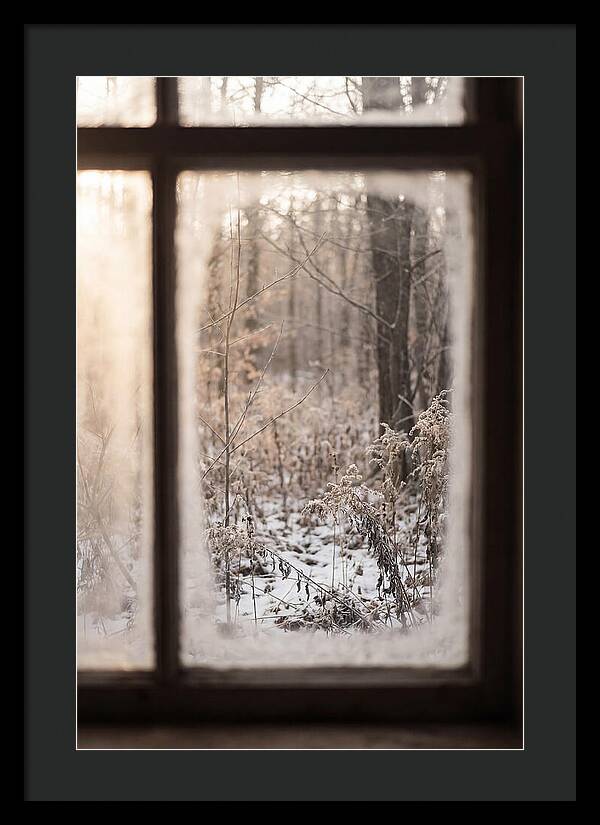Winter Solstice Serenity