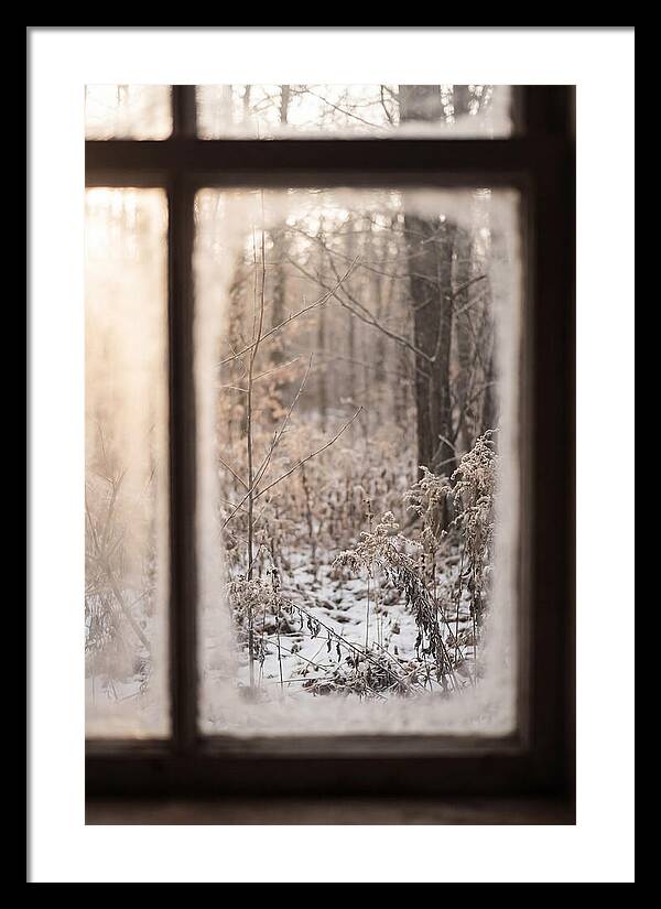 Winter Solstice Serenity