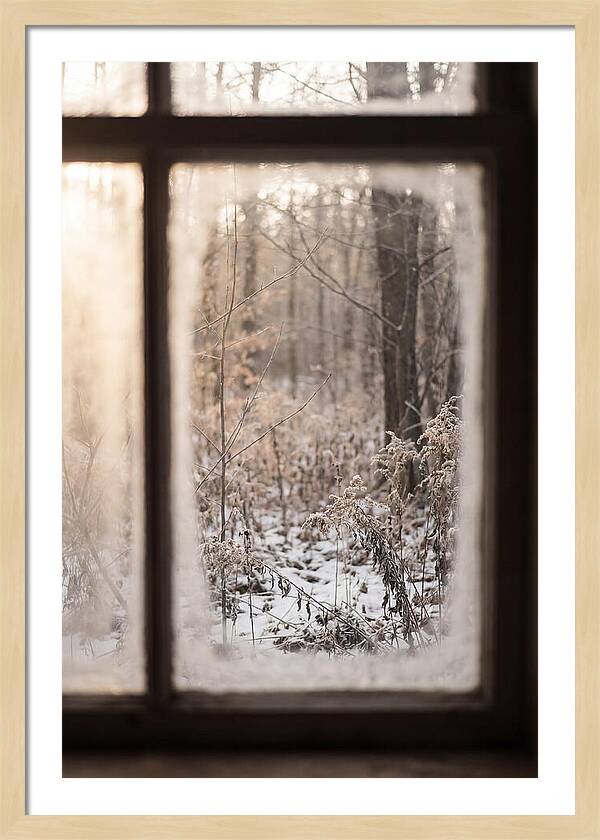 Winter Solstice Serenity