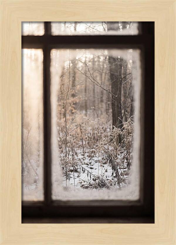 Winter Solstice Serenity