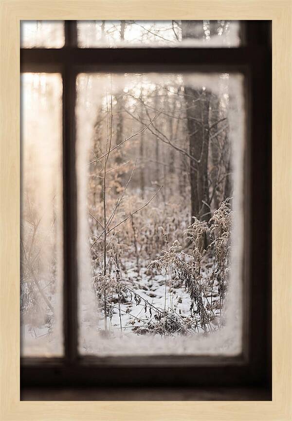 Winter Solstice Serenity